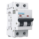 Hyundai Miniature circuit breaker. C curve. 2P. 6kA - Model. HGD-2